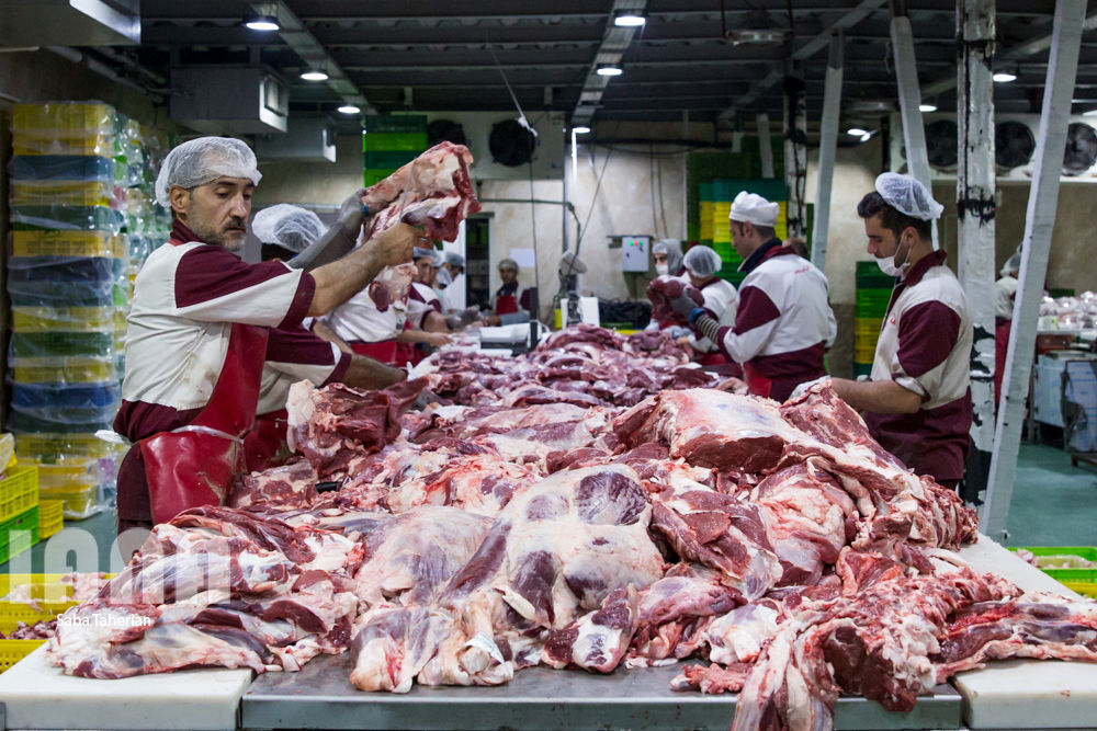 بسته‌بندی محصولات پروتئینی