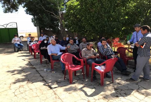 روز مزرعه مقایسه ارقام مختلف گندم آبی در شهرستان آبیک برگزار شد