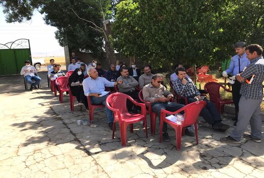 روز مزرعه مقایسه ارقام مختلف گندم آبی در شهرستان آبیک برگزار شد