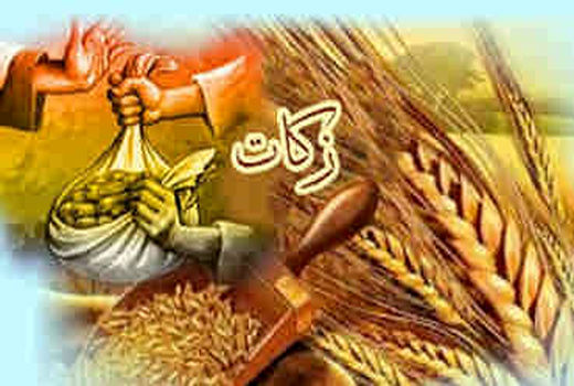 کشاورزان ایلامی با وجود خشکسالی نسبت به پرداخت زکات اهتمام دارند