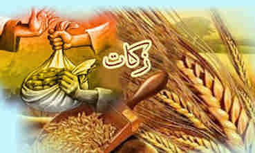 کشاورزان ایلامی با وجود خشکسالی نسبت به پرداخت زکات اهتمام دارند