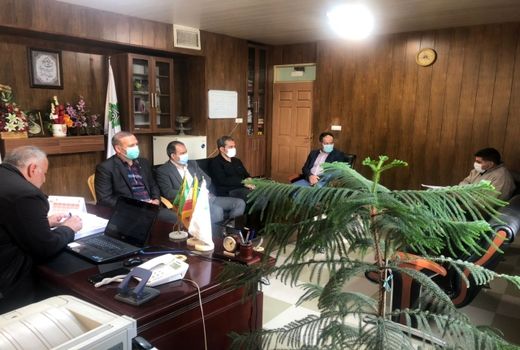 مبارزه با سن گندم در 2000هکتار از مزارع گندم تاکستان انجام شد