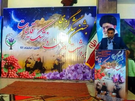 فعالیت بالغ بر 38 هزار بهره بردار زعفران در خراسان جنوبی