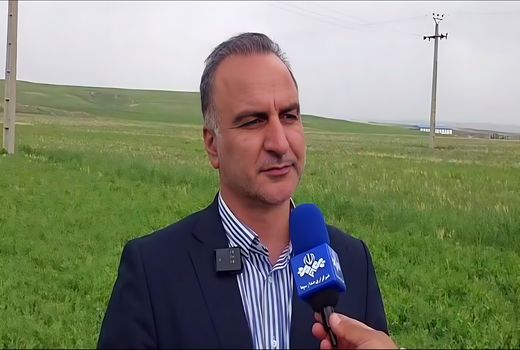 خرید تضمینی ۱.۷ میلیون تن گندم در کشور