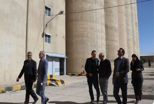 روند ذخیره کالاهای اساسی در فارس رصد شد