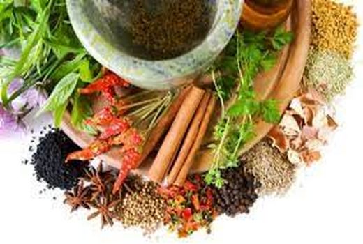 توسعه کشت گیاهان دارویی  در سطحی بالغ بر 40هزار هکتار در سال جاری