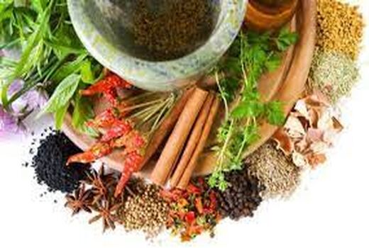 توسعه کشت گیاهان دارویی  در سطحی بالغ بر 40هزار هکتار در سال جاری