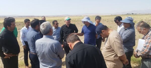 بازدید سرپرست سازمان جهاد کشاورزی آذربایجان‌غربی از شبکه‌های فرعی آبیاری و زهکشی شمال استان