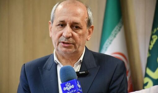 ملکان؛ قطب تولید انگور آذربایجان شرقی با سهم ۶۵ درصدی از باغات استان