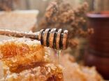 تولید صد و پنج تن عسل مرغوب در سال گذشته در شهرستان سروآباد 
