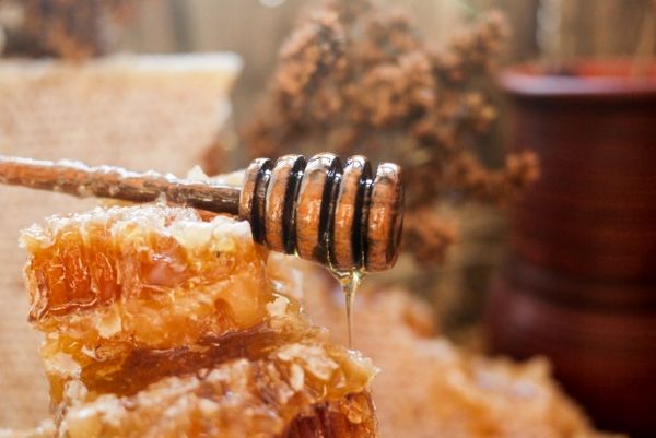 تولید صد و پنج تن عسل مرغوب در سال گذشته در شهرستان سروآباد 
