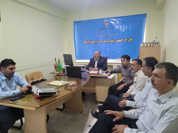 مبارزه با پوره سن گندم د رسطح ۶۵۰۰ هکتار از گندم‌زارهای استان قزوین