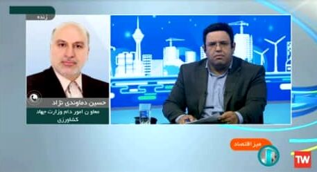 قیمت تخم مرغ درب مرغداری 35 هزار و 800 تومان است