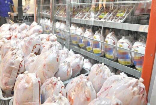 مرغ مازاد تولیدکنندگان چهارمحال و بختیاری خریداری می‌شود