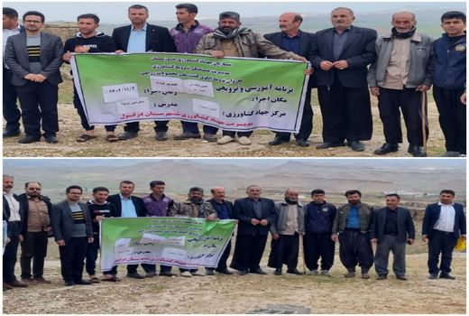 ارتقاء دانش علمی بهره‌برداران دزفولی در مصرف کود