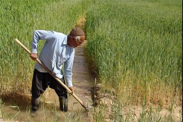 انعقاد 53 هزار و 700 قرارداد بیمه با بهره‌برداران کشاورزی