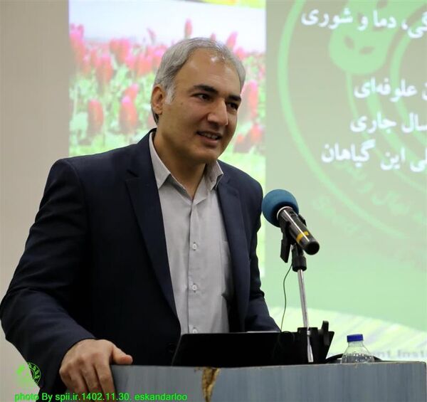 امکان تأمین انواع بذر ذرت بیش از نیاز کشور فراهم شد