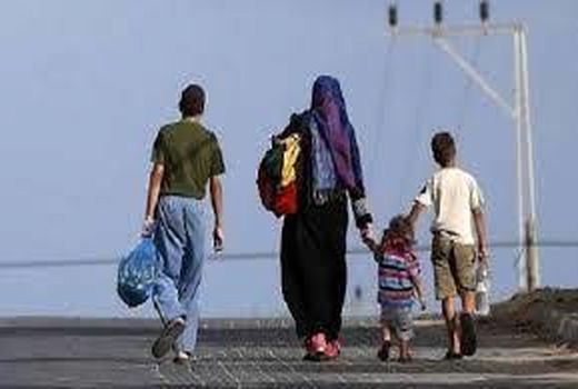 بررسی پدیده مهاجرت با حضور اعضای اتحادیه اروپا