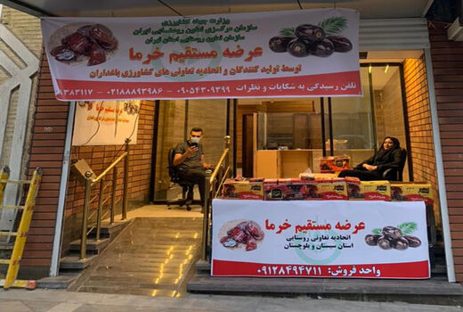 عرضه مستقیم خرمای نخلکاران سیستان و بلوچستان در شهر تهران