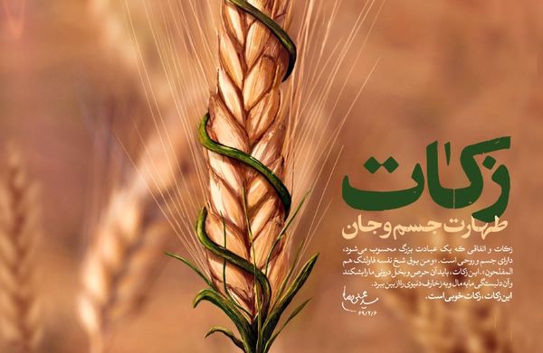 تلاش می کنیم فرهنگ زکات در جامعه کشاورزی استان البرز، ترویج و احیا شود