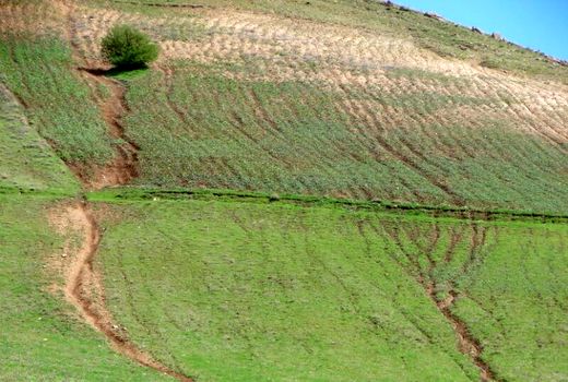 تکلیف اراضی ۵۲ طرح اشتغالزایی در کردستان مشخص شد