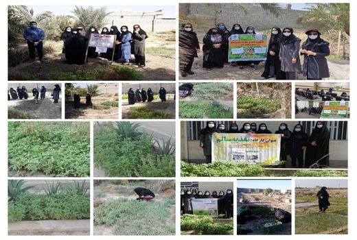 برگزاری کارگاه های آموزشی بهبود تغذیه ویژه زنان روستایی و عشایری 