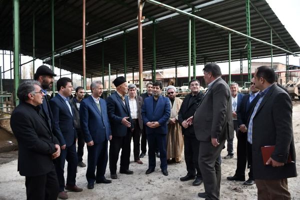 بازدید رئیس سازمان جهاد کشاورزی استان از گاوداری دچار حریق شده در آذرشهر