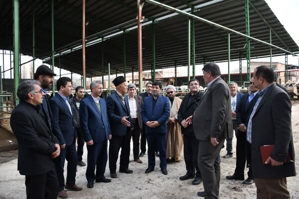 بازدید رئیس سازمان جهاد کشاورزی استان از گاوداری دچار حریق شده در آذرشهر 