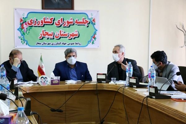 ۴۴۷ هزار هکتار از اراضی دیم کردستان مستعد آبی هستند