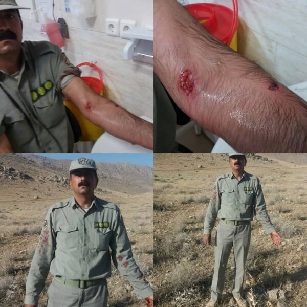 حمله پلنگ به محیط بان پارک ملی بمو