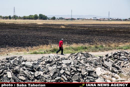 بوی نان سوخته از کشت‌زار گندم

