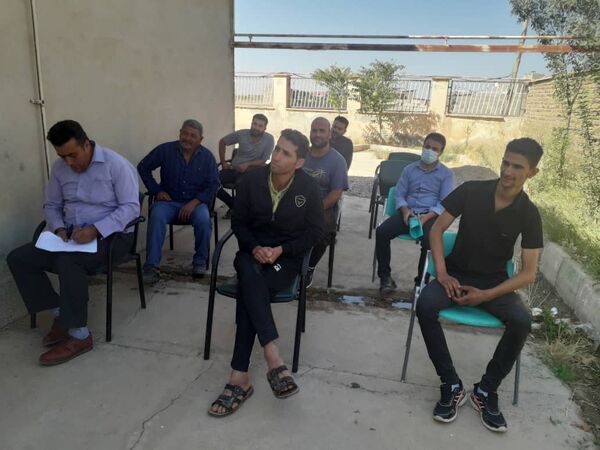 دوره آموزشی کشت و تغذیه کلزا در تاکستان برگزار شد