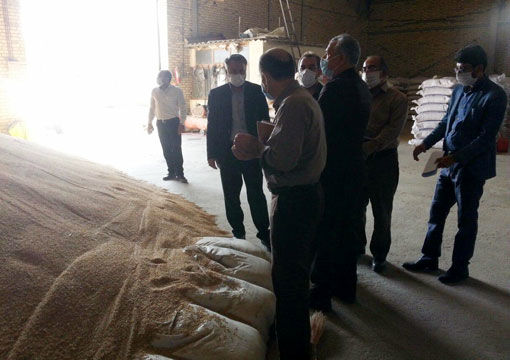 تاکید بر تولید بذور ارقام جدید و پر پتانسیل در برنامه تولید بذر استان آذربایجان شرقی  