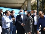 بازدید وزیر جهاد کشاورزی از واحد پرورش اسب در اسلامشهر