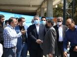 بازدید وزیر جهاد کشاورزی از واحد پرورش اسب در اسلامشهر