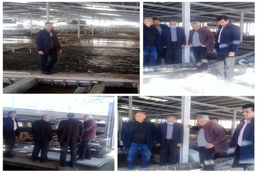 استفاده از آب مغناطیسی در مزارع پرورش ماهی ورزقان برای اولین بار