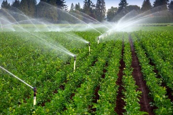 تسریع در اجرای برنامه‌های آب و خاک بخش کشاورزی با همراهی سازمان برنامه و بودجه