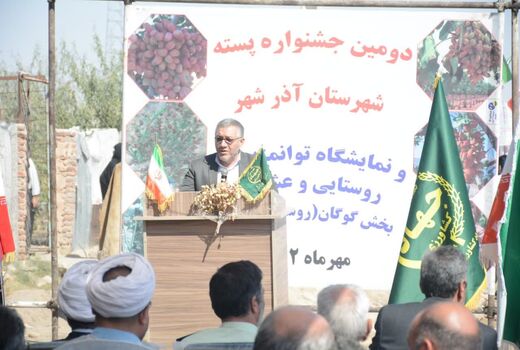  تولید 1800 تن پسته از 2 هزار و 238 هکتار باغات آذربایجان شرقی