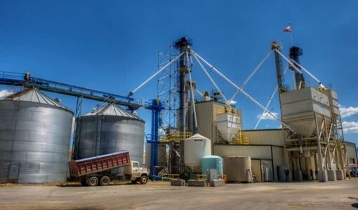 کارخانجات خوراک دام آماده کاهش ۳۰ درصدی واردات نهاده‌ها/ ظرفیت ۳ میلیون تنی انبارش در خدمت امنیت غذایی