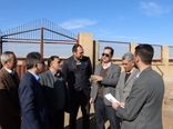 فعالیت ایستگاه پرورش و اصلاح نژاد قوچ سنگسری در استان سمنان با هدف حفظ ژن این گوسفند است