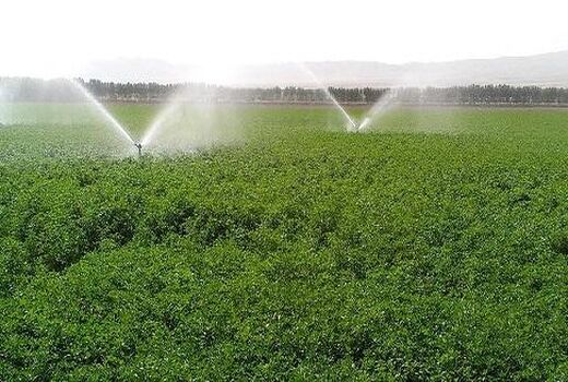 کاهش 32 درصدی مصارف آب در بخش کشاورزی آذربایجان غربی
