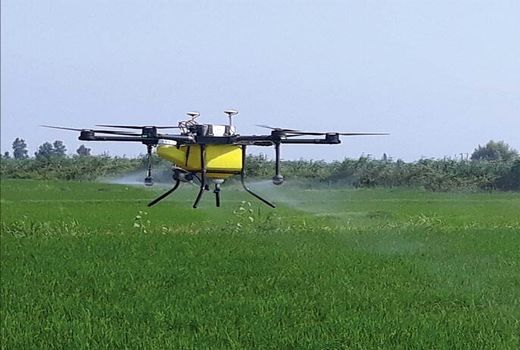 استفاده از پهباد برای سمپاشی مزارع گندم ری علیه آفات سن مادر