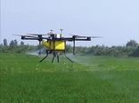 استفاده از پهباد برای سمپاشی مزارع گندم ری علیه آفات سن مادر