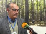 مدیریت بخشی مهم‌ترین خلأ قانونی کشور در رسیدن به خاک سالم است