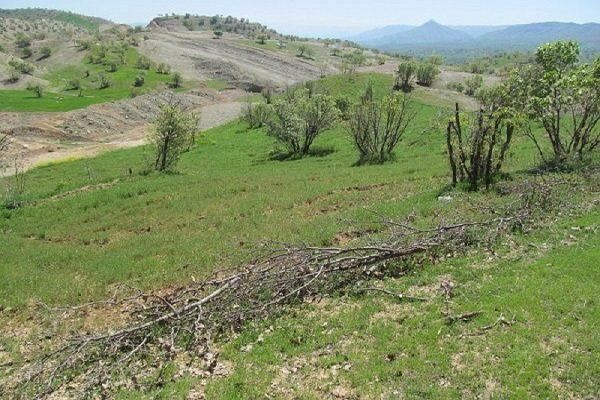 14پلاک از اراضی کشاورزی شهرستان البرز تثبیت مالکیت شد