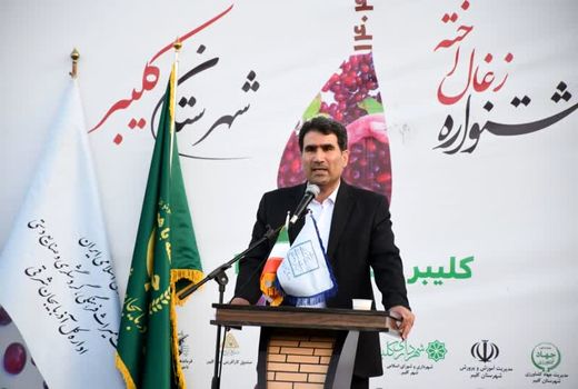 زغال اخته معروفترین محصول باغی کلیبر