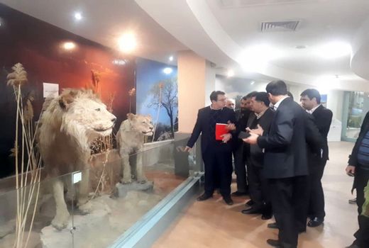 تامین امنیت غذایی مردم در گرو حفظ خاک است