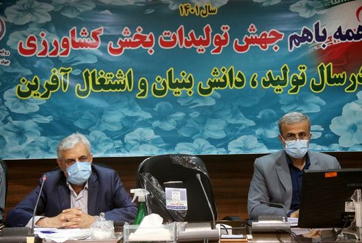 پایداری تولید گندم در طرح جهش تولید در دیمزارهای خوزستان