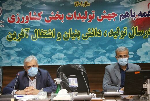 پایداری تولید گندم در طرح جهش تولید در دیمزارهای خوزستان
