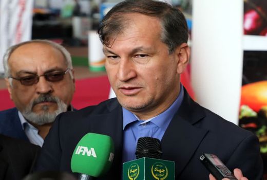 امسال تولیدات باغبانی کشور به ۲۵ میلیون و ۷۰۰ هزار تن رسید